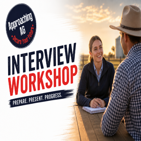 Interview Workshop
